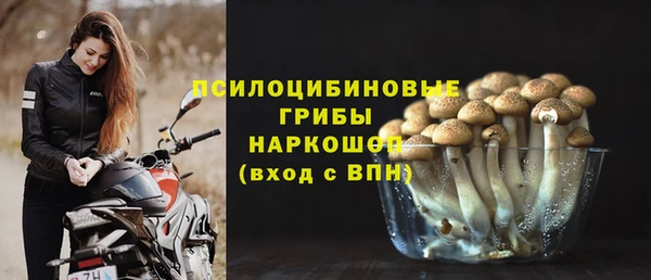 бошки Касимов