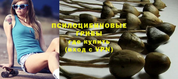 бошки Касимов