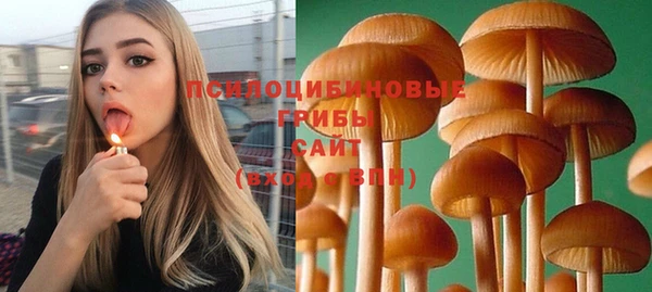 бошки Касимов